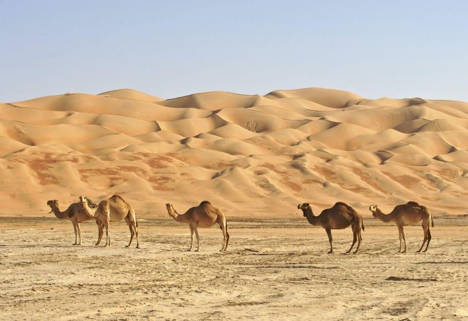 Viaggi in Oman: Scopri il Fascino del Medio Oriente